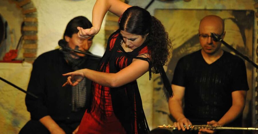 Granada: Alhambra Guided Tour and Flamenco Show - Who should book this Granada experience?