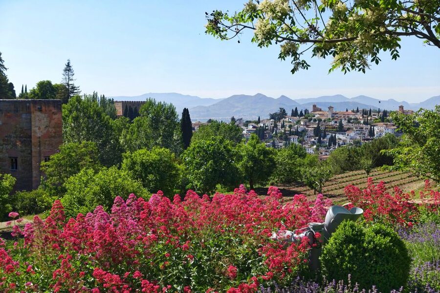 Granada: Alhambra Palace Guided Tour - What you miss without the Nasrid Palaces