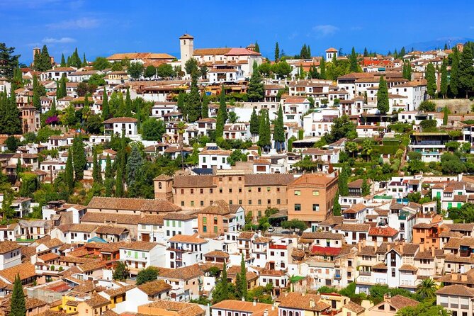 Granada and Albaicin: Wine and Tapas Tour - Key points before you book