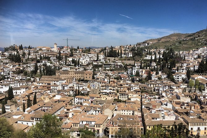 Granada and Albaicin: Wine and Tapas Tour - Who will enjoy this evening most