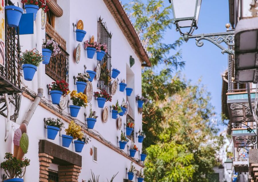 Granada: Cathedra&Royal Chapel & Albaicín skip the line Tour - Key points to know before booking