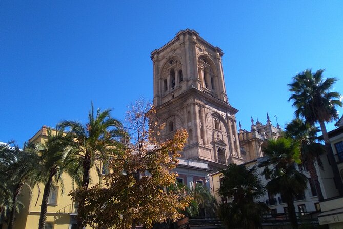 Granada: Cathedral and Royal Chapel Private tour with tickets - Key points to know before booking