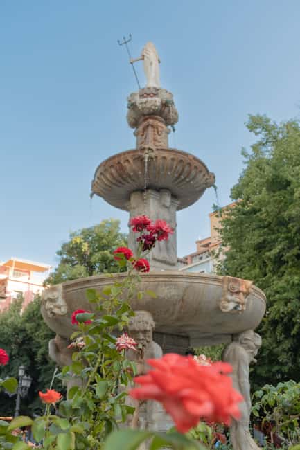 Granada Citycenter&Albayzin - Key points to know before booking
