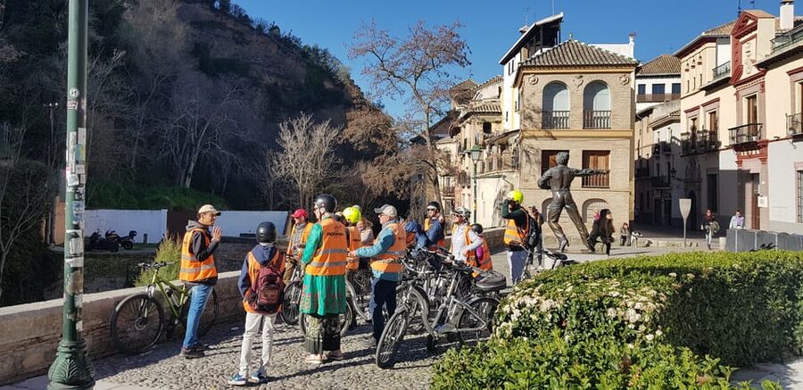 Granada: E-Bike Tour and Fast-Track Alhambra Ticket - Entering the Alhambra with a fast-track ticket