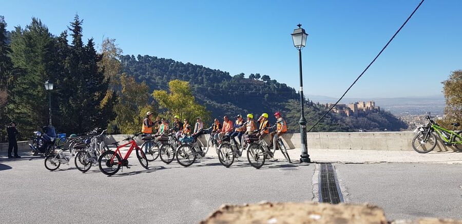 Granada: E-Bike Tour and Fast-Track Alhambra Ticket - A ticket, not an Alhambra guide