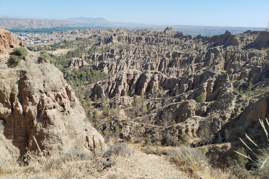 Granada: End of the World Viewpoints 4x4 Tour in the Geopark - A glass of wine at Bodegas Palanga