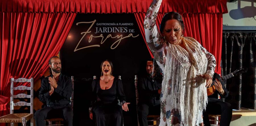 Granada: Flamenco Show in Albaycin - Jardines de Zoraya - Who will enjoy this performance most?