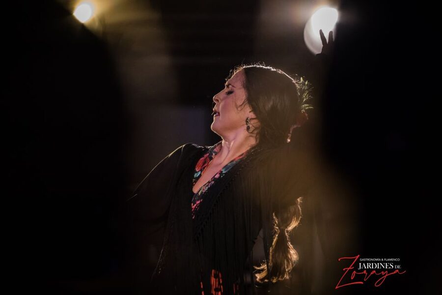 Granada: Flamenco Show in Albaycin - Jardines de Zoraya - A one-hour program with real variety