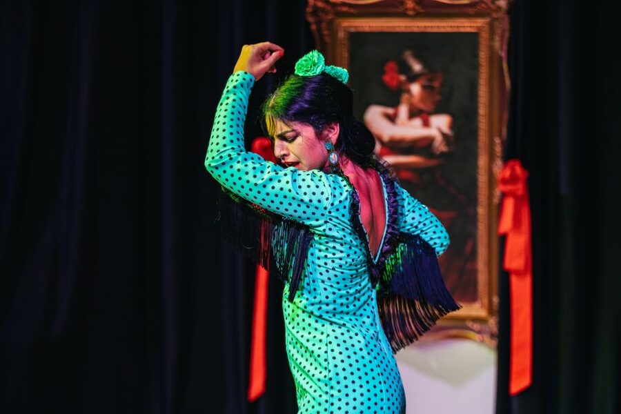 Granada: Flamenco Show in La Alboreá - Key points to know before booking