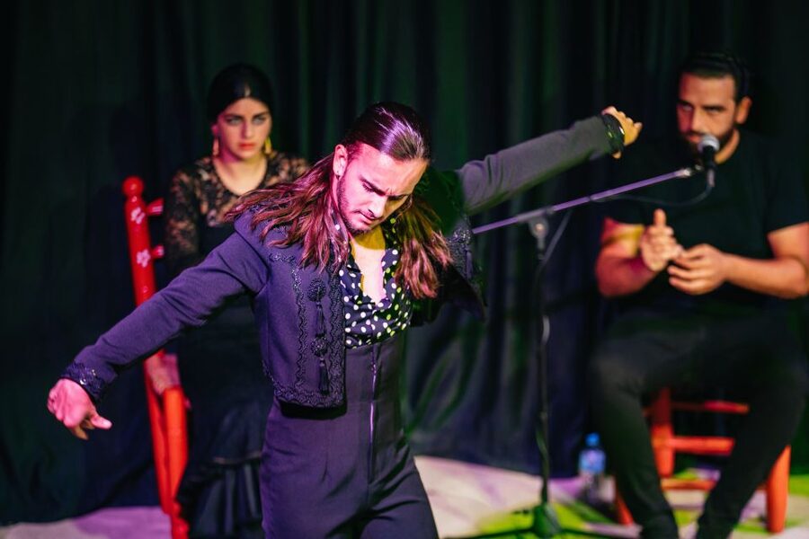 Granada: Flamenco Show in La Alboreá - Who should book La Alboreá
