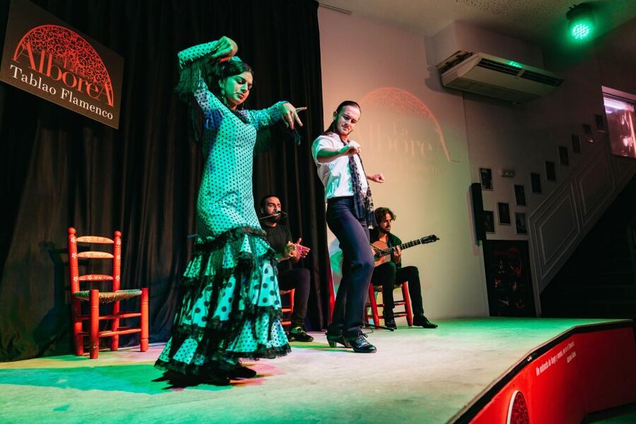 Granada: Flamenco Show in La Alboreá - Watching the dancers from reserved seating