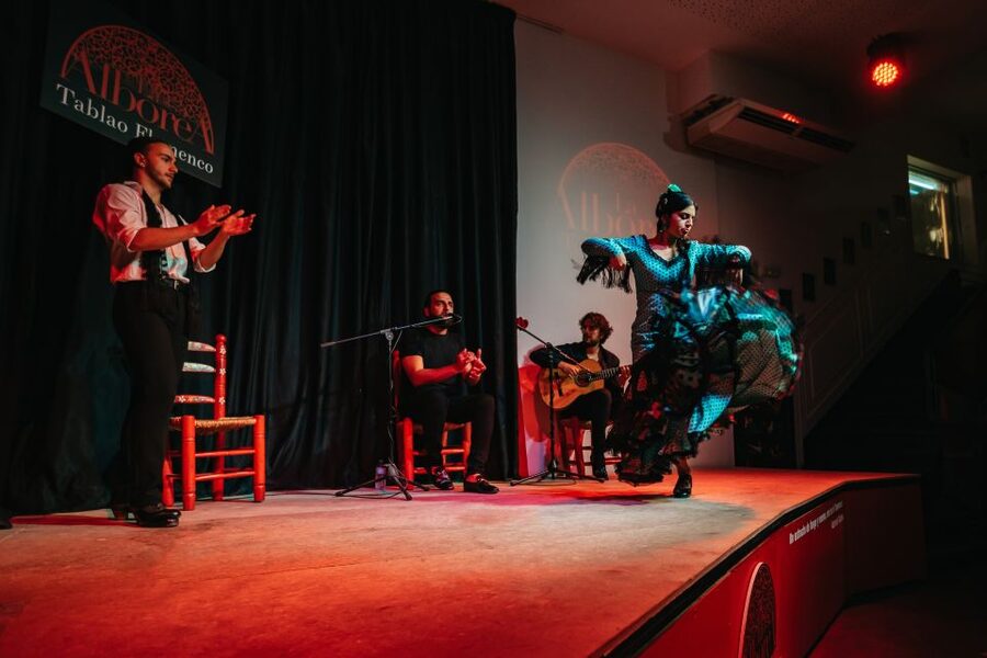 Granada: Flamenco Show in La Alboreá - How La Alboreá compares with a cave-style show