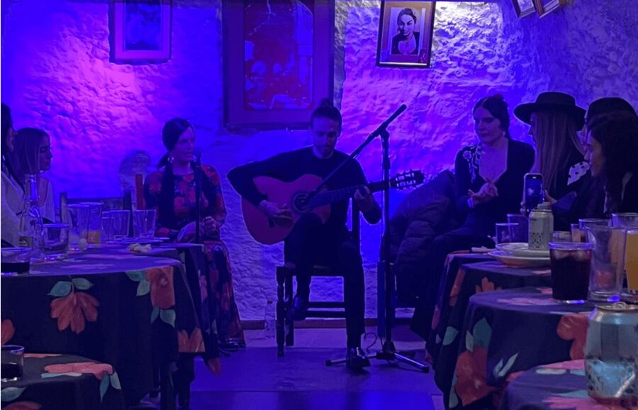 Granada: Flamenco Show in the Cave LA FARAONA - Language, comfort, and access