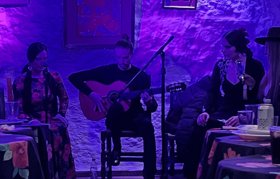 Granada: Flamenco Show in the Cave LA FARAONA - The artistic quality matters more than the extras
