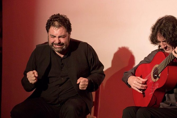 Granada Flamenco & Tapas Tour - Local Drinks and Menu Translation