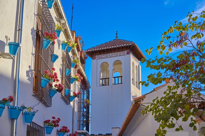 Granada full day: La alhambra completa + el Albaicin y Sacromonte - Key points to know before booking