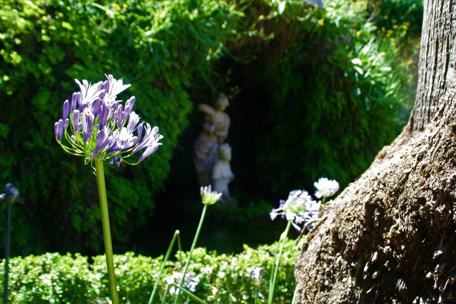 Granada: Gardens of Carmenes Guided Tour - Why Granada’s cármenes are worth your time