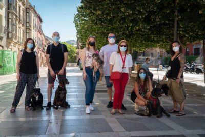 Guided Albaicín Visit with Pets