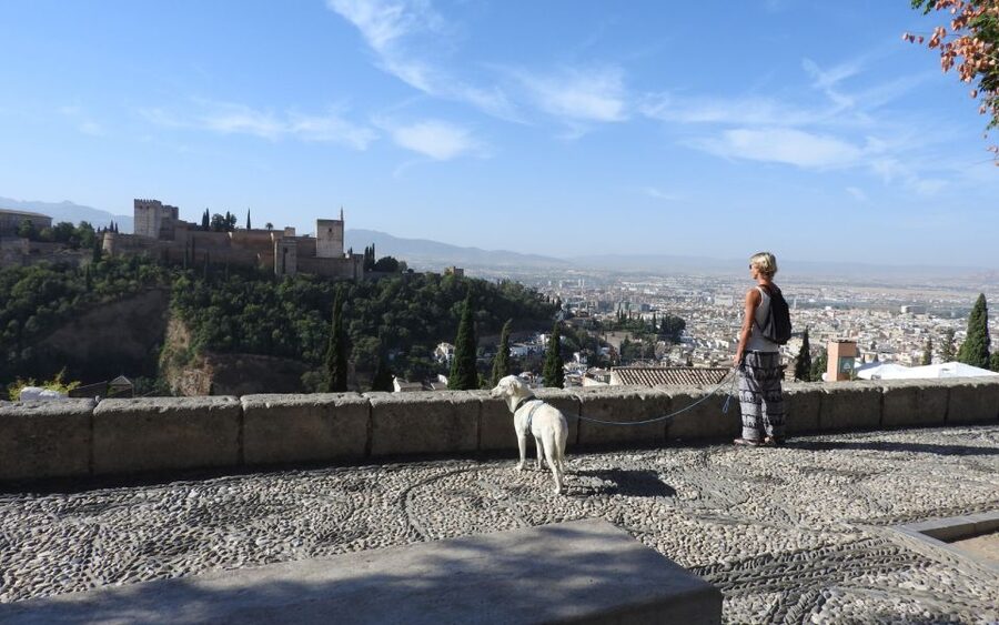 Granada: Guided Albaicín Visit with Pets - Plaza Larga and the everyday Albaicín