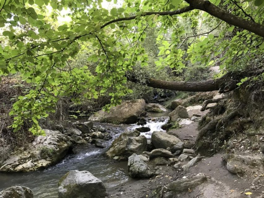 Granada: Guided Day Hike in Los Cahorros de Monachil - From Granada to Monachil in a few easy steps