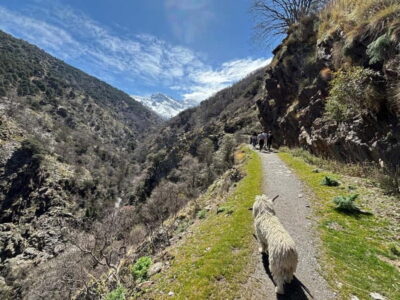 High Sierra Nevada Hiking Tour to 3000 Meters