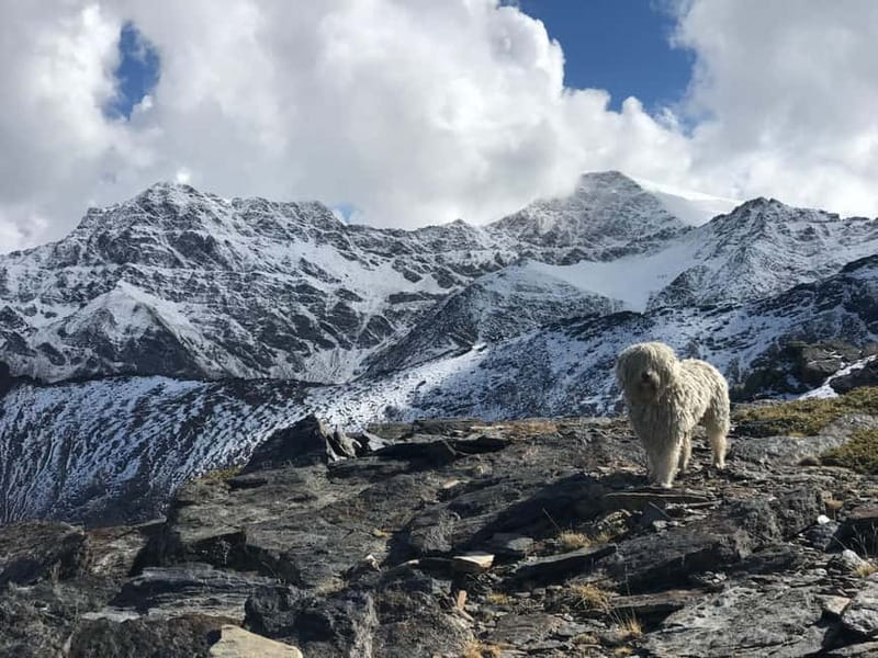 Granada: High Sierra Nevada Hiking Tour to 3000 Meters - What bad weather changes