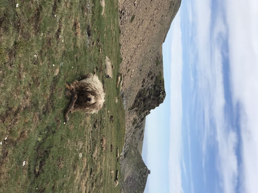 Granada: High Sierra Nevada Hiking Tour to 3000 Meters - Who will enjoy this mountain day?