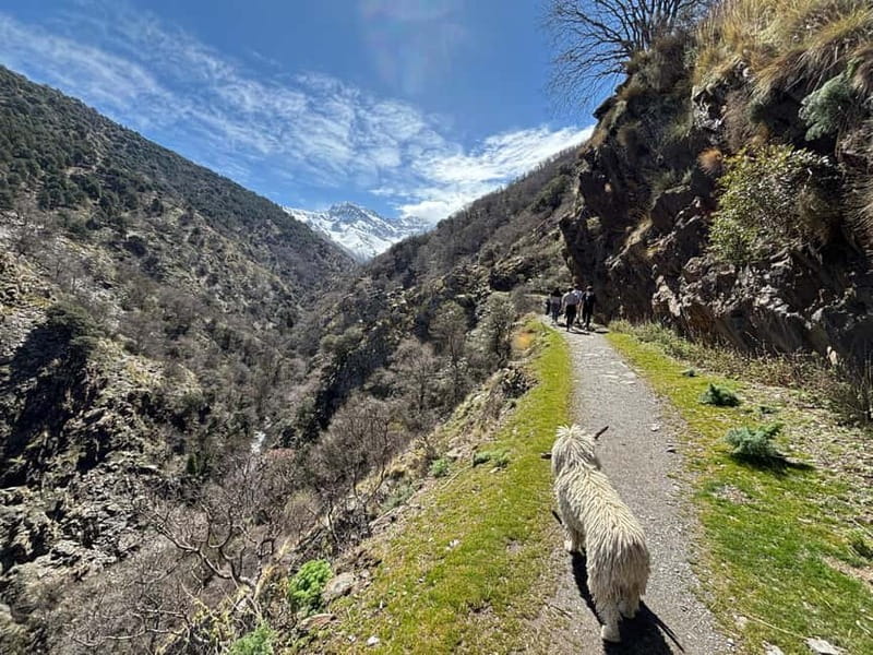 Granada: High Sierra Nevada Hiking Tour to 3000 Meters - Walking into the San Juan glacier valley
