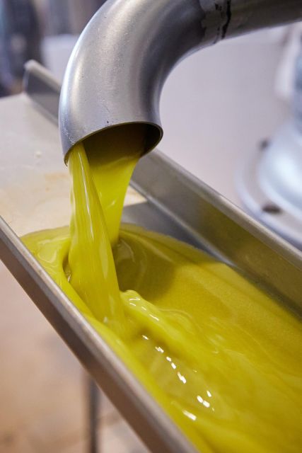Granada in EVOO: Guided tour and unique sensorial tasting - What you will take home