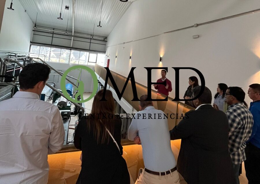 Granada in EVOO: Guided tour and unique sensorial tasting - Why OMED makes a good Granada side trip