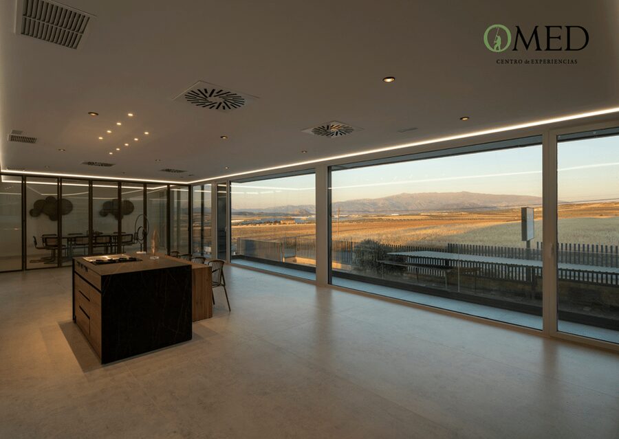 Granada in EVOO: Guided tour and unique sensorial tasting - The tasting table above the olive grove