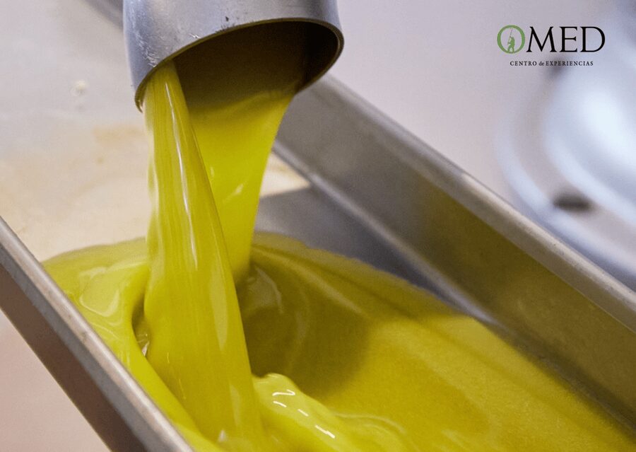 Granada in EVOO: Guided tour and unique sensorial tasting - What the guide adds