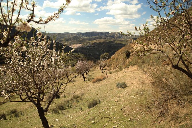 Granada: Nature, Wildlife and Authentic Villages E-bike Tour - The Sierra Nevada section is the real adventure