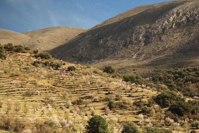 Granada: Nature, Wildlife and Authentic Villages E-bike Tour - La Silla del Moro gives the day an immediate payoff