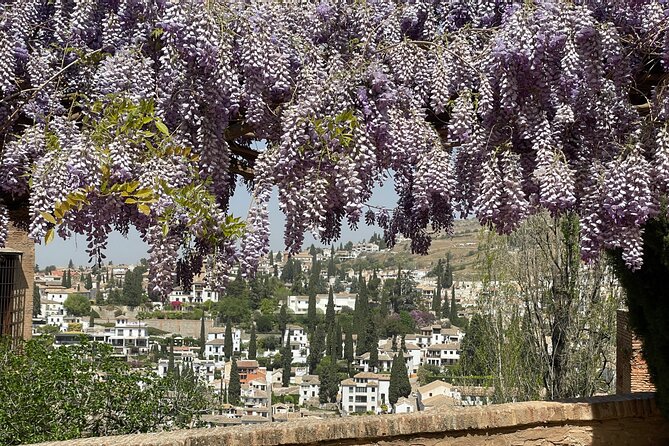 Granada : Private Alhambra Tour + Nazaries Palaces (VIP) - Guides make the biggest difference