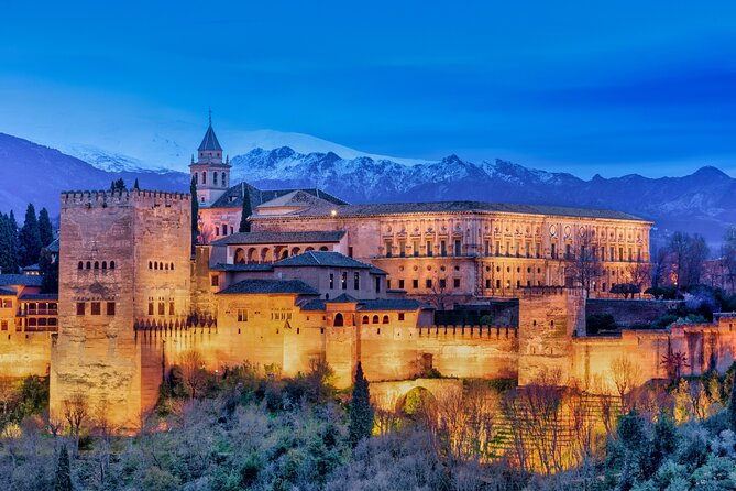Granada : Private Alhambra Tour + Nazaries Palaces (VIP) - Ticket rules, schedule changes, and the real risk