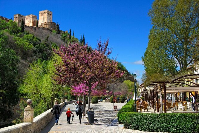 Granada Private Segway Tour - Key points before you book