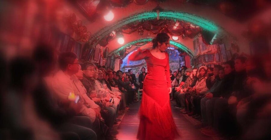 Granada: Sacromonte Caves Flamenco Show - Key points before you book