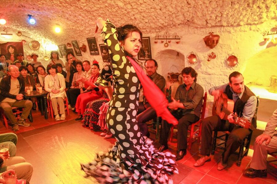 Granada: Sacromonte Caves Flamenco Show with Dinner - The Andalusian Dinner: Useful Addition, Not the Main Event