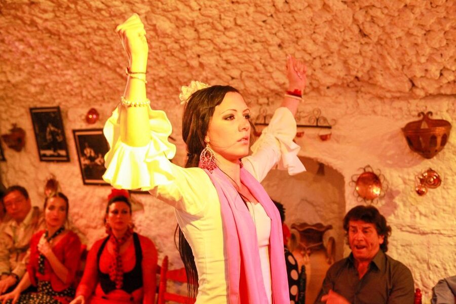 Granada: Sacromonte Caves Flamenco Show with Dinner - Who Will Enjoy This Evening Most?