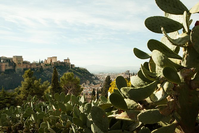 Granada: Sacromonte Private Tour - Cave homes and the story of daily life
