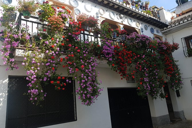 Granada Segway Tour to Albaicin and Sacromonte - Sacromonte’s caves and the stories of flamenco