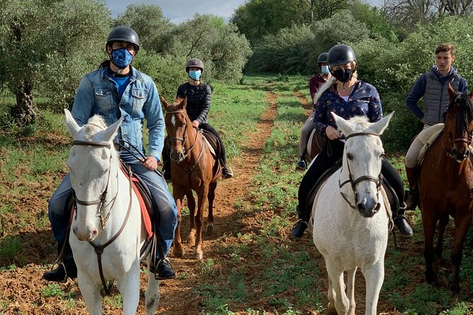 Granada & Sierra Nevada Horse Riding Tour - Meeting Andalusian horses at a family ranch