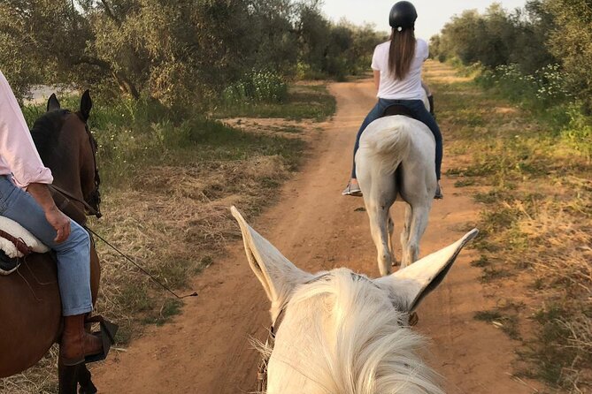 Granada & Sierra Nevada Horse Riding Tour - Getting from Granada to the ranch