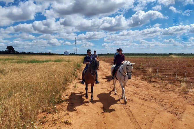 Granada & Sierra Nevada Horse Riding Tour - Is $150.51 a fair price?