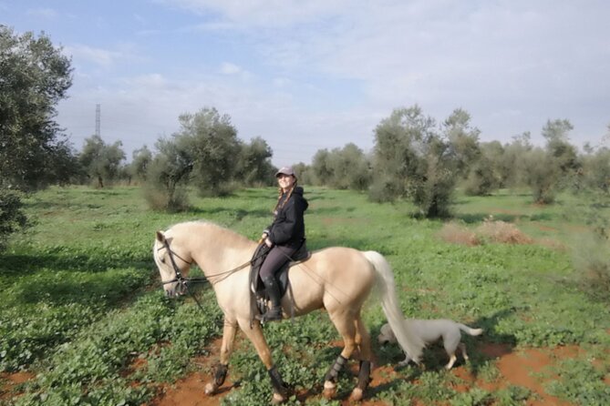 Granada & Sierra Nevada Horse Riding Tour - Who will enjoy this Granada horse ride