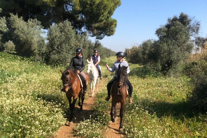 Granada & Sierra Nevada Horse Riding Tour - Weather and cancellation details