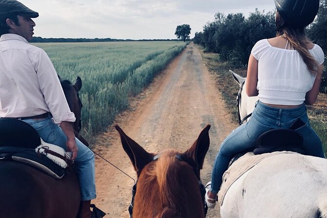 Granada & Sierra Nevada Horse Riding Tour - What the two-hour outing looks like