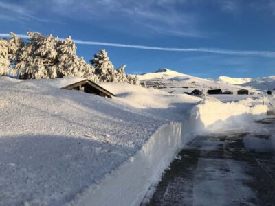 Sierra Nevada Safari Tour to 2500 m with a Drink