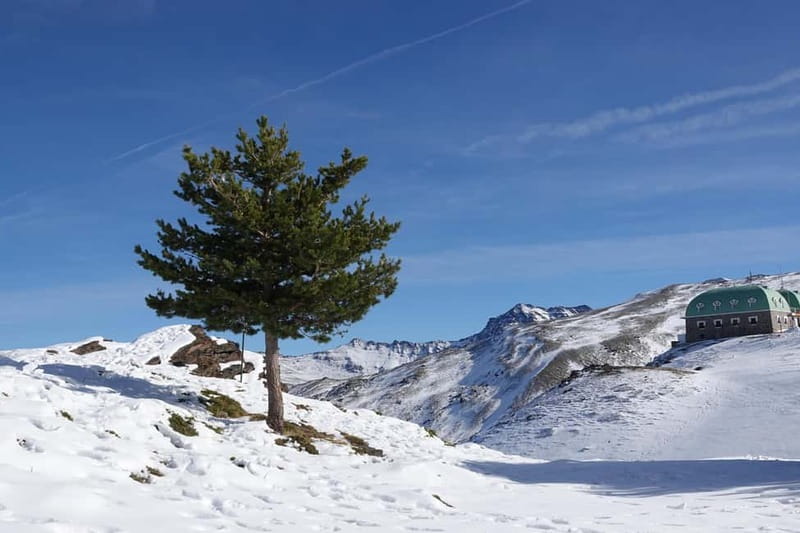 Granada: Sierra Nevada Safari Tour to 2500 m with a Drink - Mulhacen and the 2500-meter viewpoint